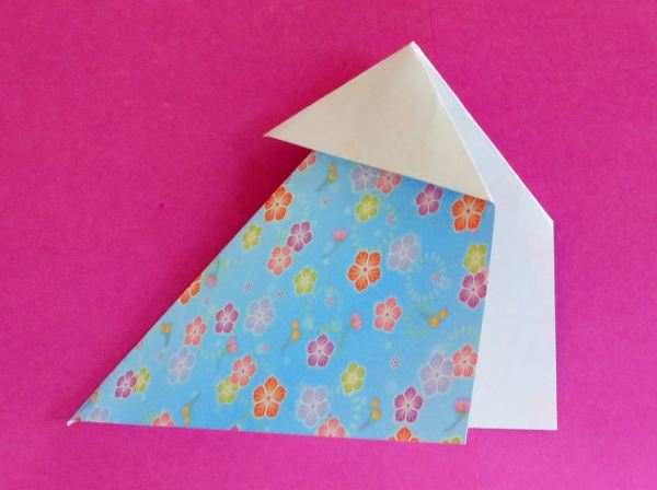 Origami outside reverse fold
