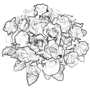 Bridal Roses Bouquet