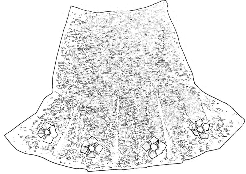 Skirt with flowers coloring picture