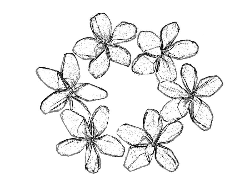 Colouring picture of a Flower Circle