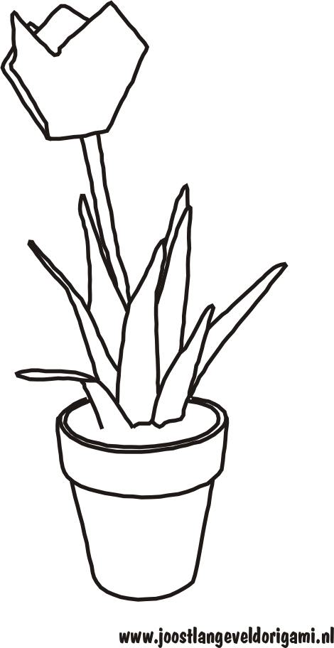 colouring picture of a cute tulip in a little pot