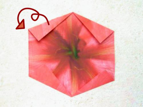 Fold an Origami Amaryllis