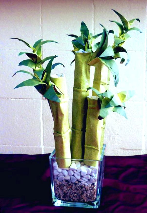 Origami Bamboo plant