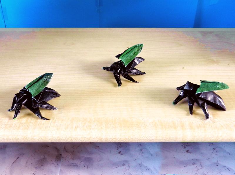 Origami beetles