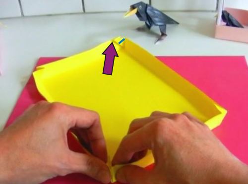 Origami Birdcage folding instructions