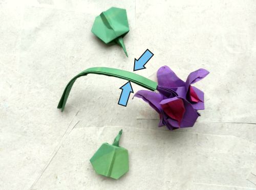 Bonsai Origami Fuchsia flower diagrams