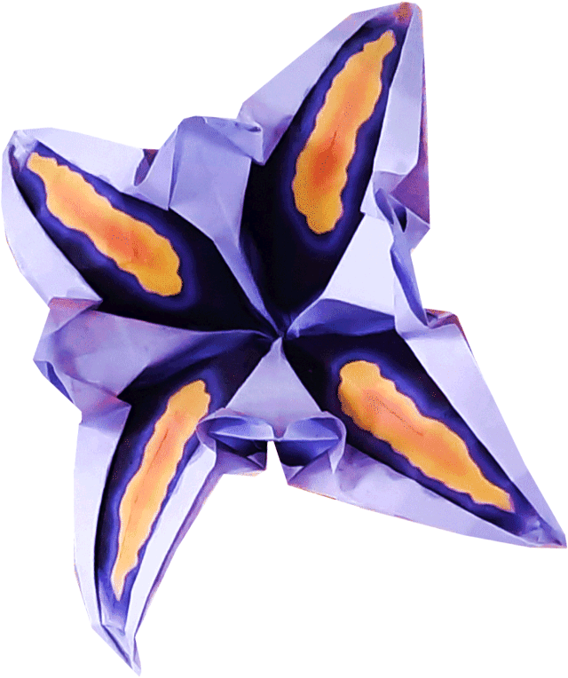 Origami Iris Flower