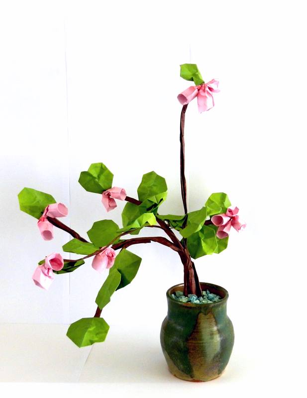 Bonsai Begonia van papier