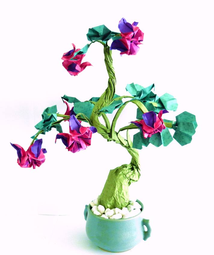 Bonsai Origami Fuchsia