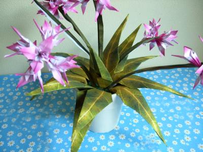 uitleg om een complexe origami bloem van papier te maken