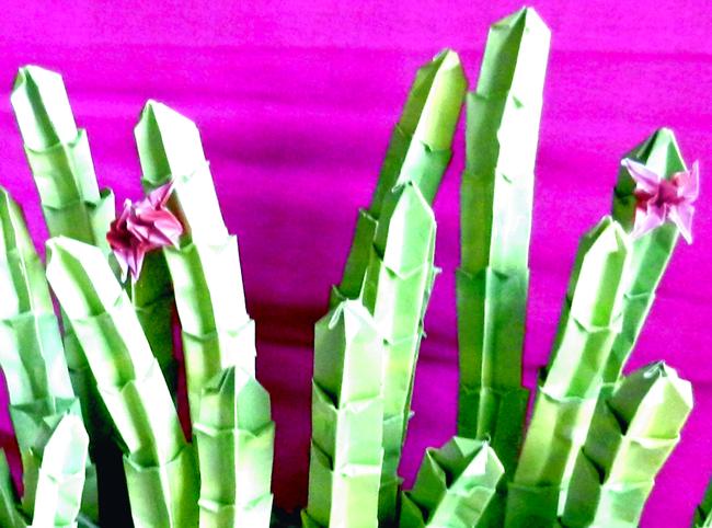 Cactus plant van papier