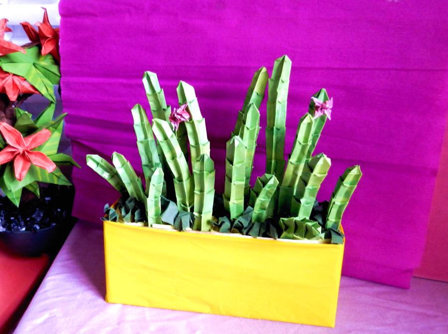 Origami cactus plant