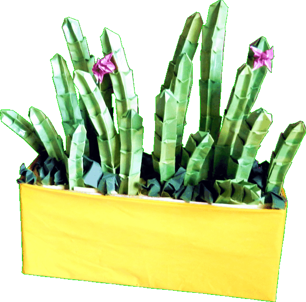 Origami cactus plant