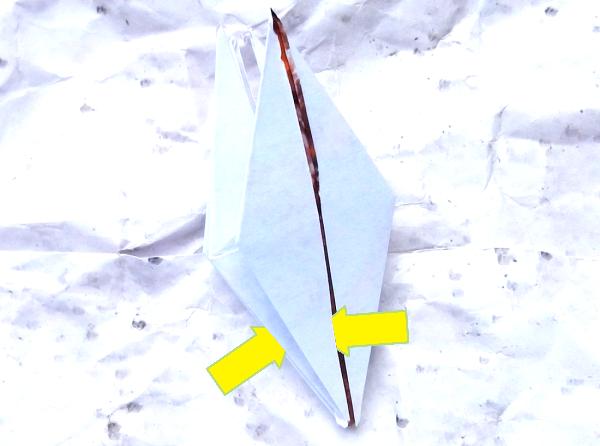 Fold an Origami Cockroach