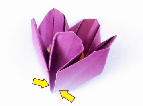Folding an Origami Crocus flower