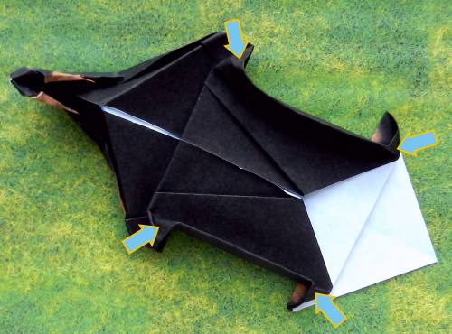 Fold an Origami Dachshund