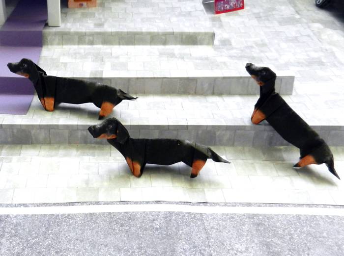Dachshunds in the city
