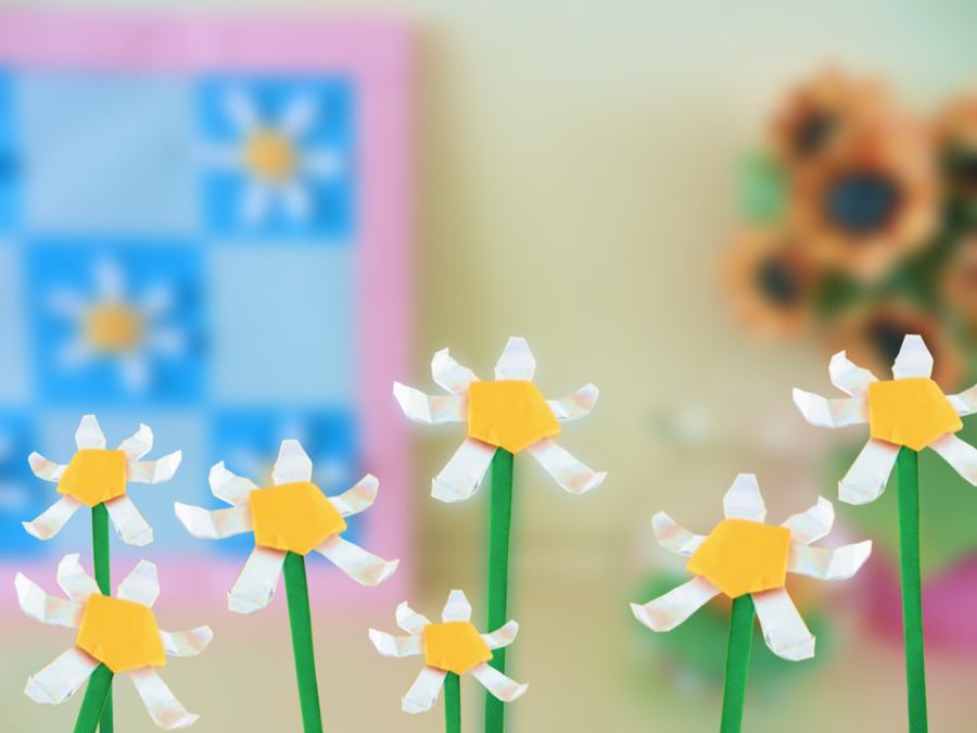 Paper daisy flowers