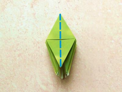 diagrams for an origami grasshopper