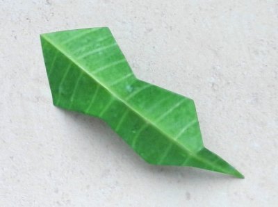 single origami holly leaf