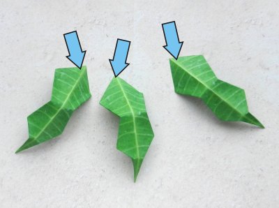 how to craft an origami holly leaf with red berries