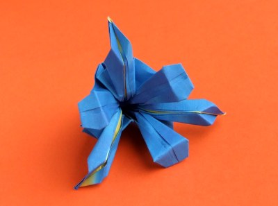 blue origami iris