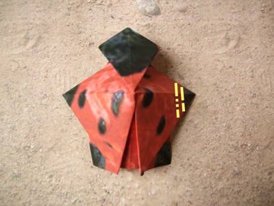 origami lieveheersbeestje