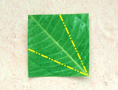 uitleg om een puntig origami blaadje te vouwen