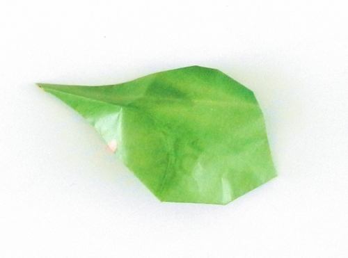 Origami magazine leaf