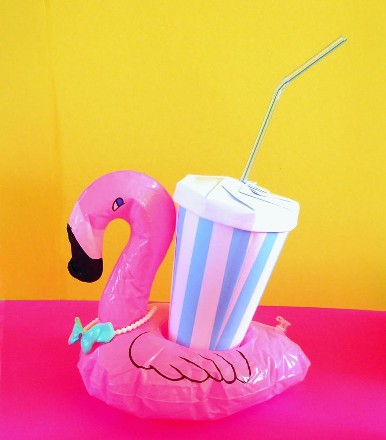 Flamingo floatie