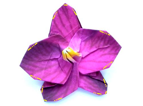 Fold an Origami Orchid Flower
