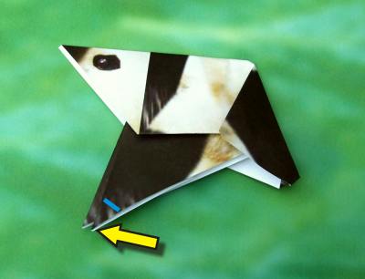 uitleg om een origami panda te vouwen