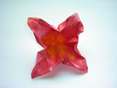roze bloemetje van papier gemaakt