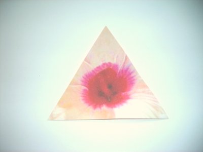 roze origami bloem vouwen