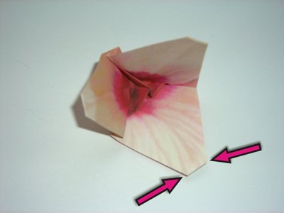folding a pink origami flower