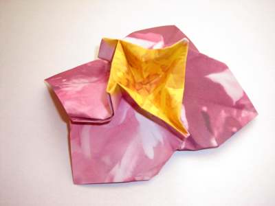 diagrams for a pink origami flower