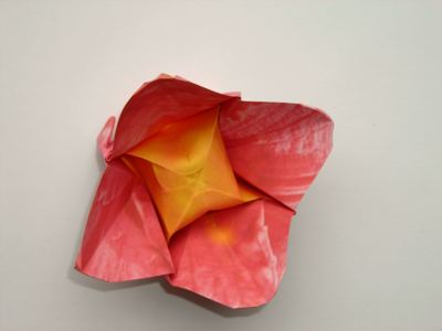 een leuke roze origami bloem