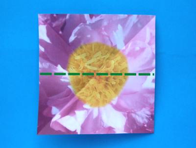 uitleg om een schattige roze bloem van papier te maken