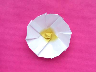leuke origami primula