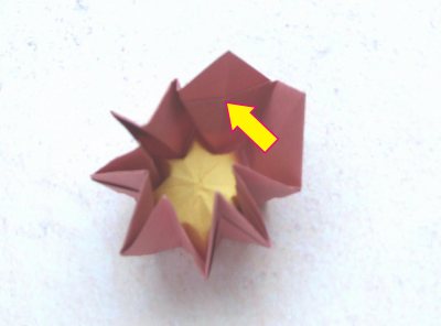 een Primula bloem knutselen van papier