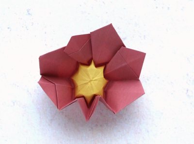 een Primula bloem knutselen van papier