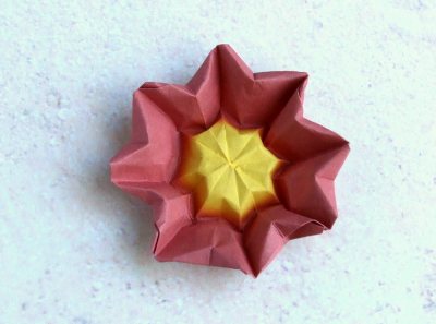 cute red easy to fold origami primrose