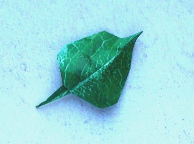 green patterned origami leaf for a red rose