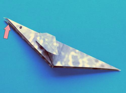 Folding an Origami Sea Dog