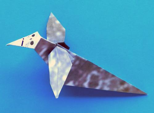 Een zeehond knutselen van papier