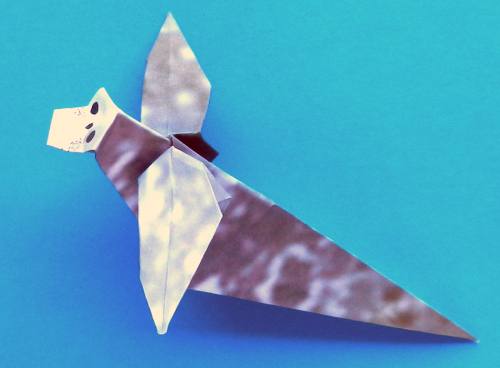 Een zeehond knutselen van papier