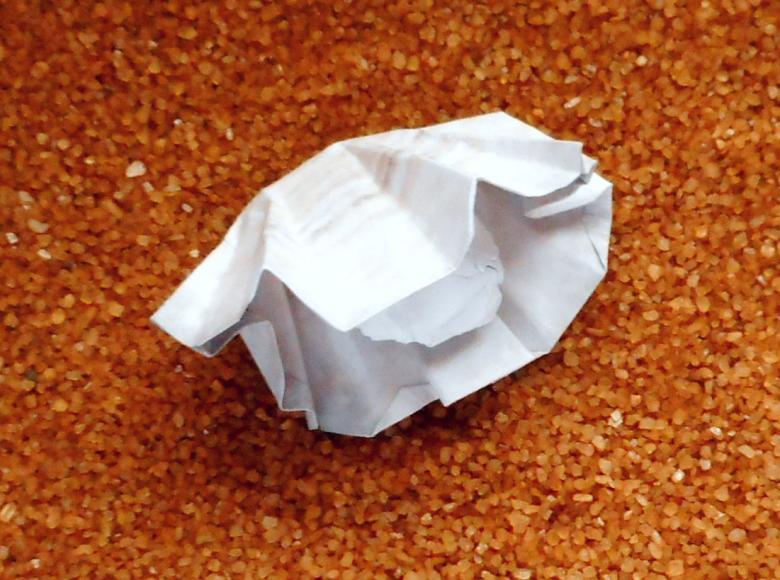 Origami schelp