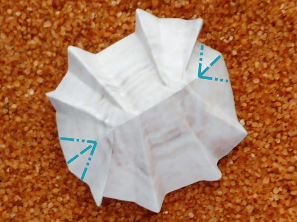 Origami schelp maken