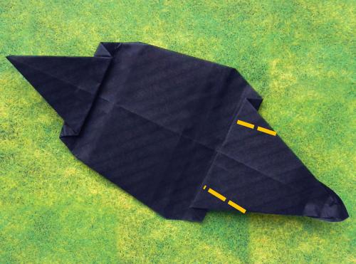 Fold an Origami Skunk