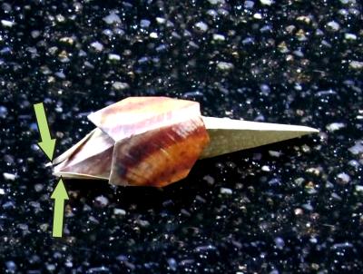 how to make an origami snail